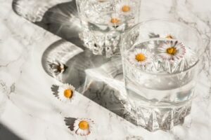 daisy in glass of water