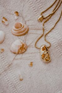 shells with gold nugget